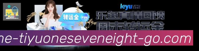 登录器